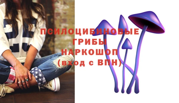 дмт Алзамай