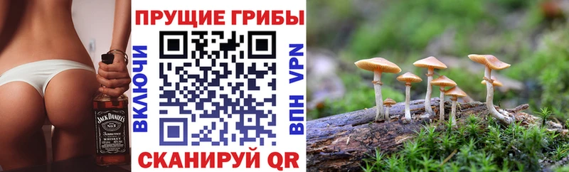 MEGA как зайти  даркнет сайт  Сысерть  Псилоцибиновые грибы GOLDEN TEACHER 